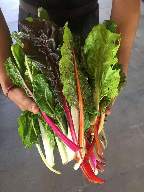 Farmer's Market + Street Food Walking Tour - Chef Curated - Who Will Enjoy This Tour Most?
