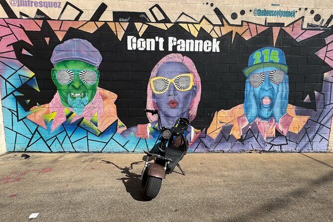 Fat Tire 2 Seater Rental in Houston - Practical Tips for Your Houston Scooter Adventure