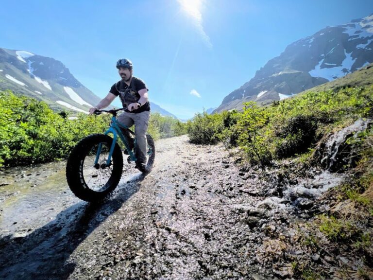 Fat Tire MTB in Chugach State Park Tour - What’s Included and What to Keep in Mind