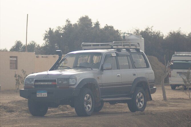 Fayoum Camping Tour 2 Days 1 Night - What the reviews say