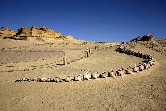 Fayoum Oasis and Waterfalls of Wadi El-Rayan Tour from Cairo - What Travelers Say