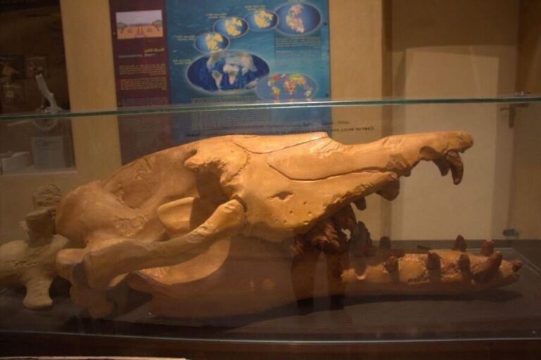Fayoum Sunrise Wadi El-Rayan & Waterfalls & Magic Lake - What Makes This Tour Stand Out?