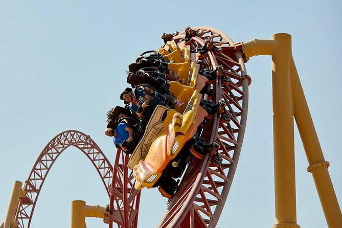 Ferrari world & Warner bros. parks with transfer from Dubai - Who Will Love This Tour?