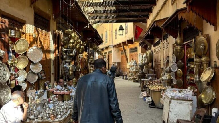 Fez Medina Guided Tour - Walking Through the Heart of Fez