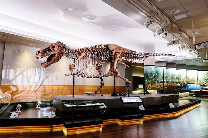 Field Museum Basic Admission Ticket with Tasting Experience - The Tasting Experience – A Curated Journey