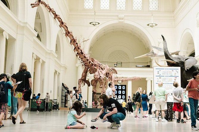 Field Museum of Natural History Admission Tickets - The Experience and Its Advantages