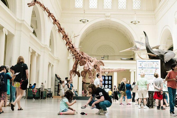 Field Museum of Natural History All-Access Pass - How Much Time Do You Need?