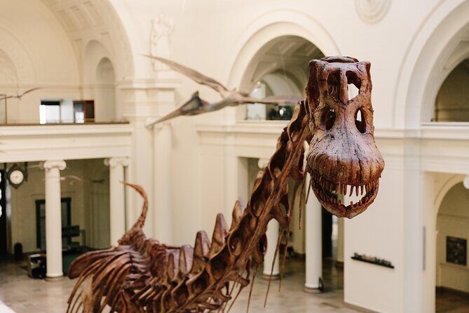 Field Museum of Natural History Early Access Ticket - Frequently Asked Questions