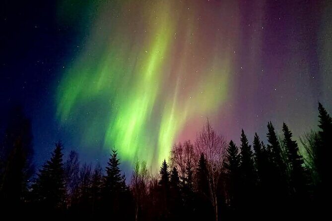 Fire & Ice: Chena Hot Springs, Ice Museum + Aurora Adventure - The Sum Up