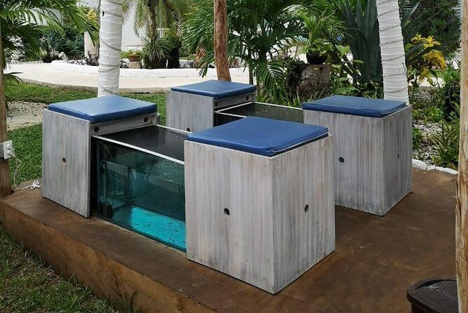 Fish Spa, Beach Break with Lounge Chairs, Umbrellas & Beach Area - Who Should Consider This Tour?