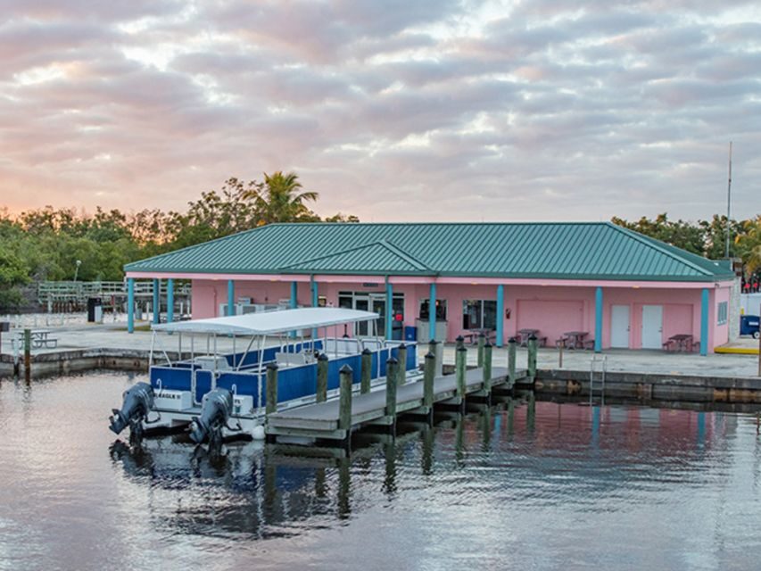 Flamingo Marina: Backcountry Boat Tour of the Everglades