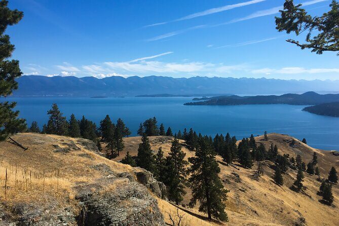 Flathead Lake Private Sunset Wild Horse Island Boat Tour - The Value of This Tour