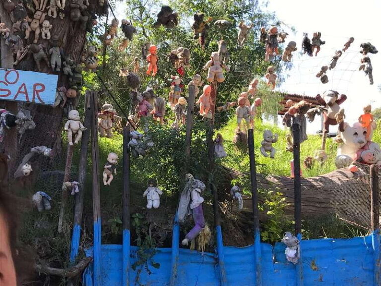 "Floating Party in Xochimilco: Canals, Tequila, and Tradition" - What You Can Expect
