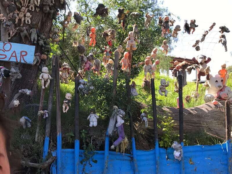 "Floating Party in Xochimilco: Canals, Tequila, and Tradition" - What You Can Expect