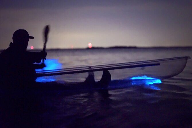 Florida Bioluminescence Clear Kayak tour/ Beacon 42 (Titusville) - An In-Depth Look at the Florida Bioluminescence Clear Kayak Tour