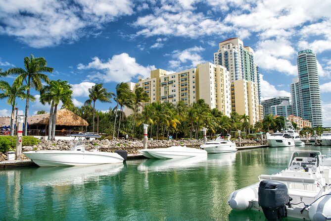 Florida Everglades Airboat Adventure plus Miami Biscayne Bay Cruise - Authentic Traveler Insights