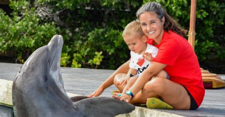 Florida Keys: Dockside Dolphin Experience - Detailed Itinerary Breakdown