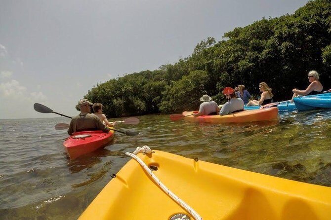 Florida Keys Eco Tour: Snorkel, Kayak, Lunch + Transportation! - Who Should Consider This Tour?