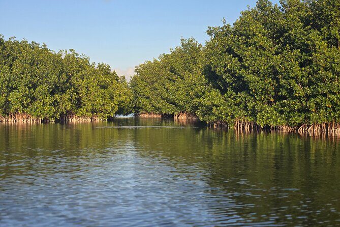 Florida Keys Kayak And Paddleboard Rentals - The Sum Up: A Water-Based Treasure for Nature Lovers