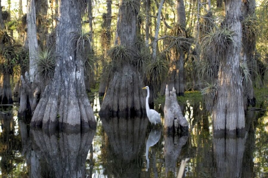Florida Keys: Key West Kayak Eco Tour with Nature Guide
