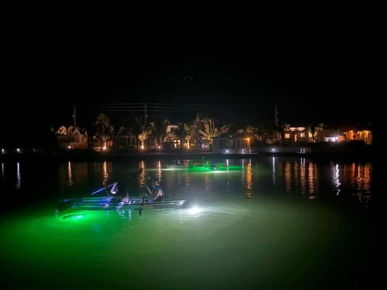 Florida: Sharkey's Guided Fish Feeding LED Night Tour - The Sum Up