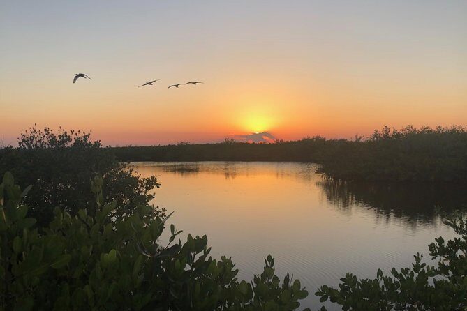 Florida Sunset and Bioluminescence Package - Key Points