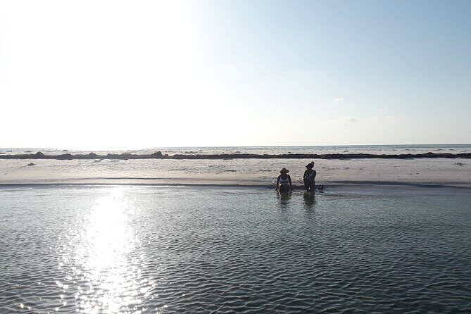Florida's Beautiful Beaches and Waterways Private Tour - Who Will Love This Tour?