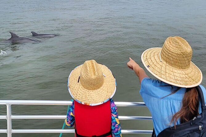 Folly Beach Dolphin Viewing Boat Excursion and Estuary Tour - Final Thoughts