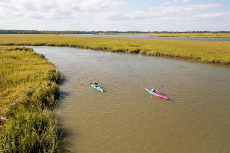 Folly Beach: Kayak Rental on the Folly River - What Travelers Say