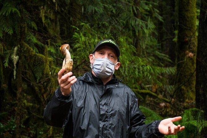 Foraging Tour of Edible Plants and Mushrooms in Brinnon - Who Will Love This Tour