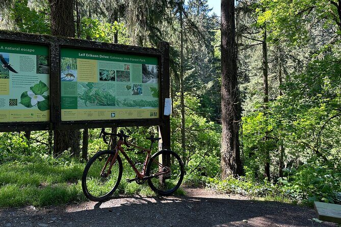Forest Park Carbon Gravel Bike and E-Bike Tour - Who Should Consider This Tour
