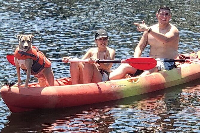 Fort Lauderdale Bonnet House Ground and Guided Paddle Board Kayak - Authentic Feedback from Participants