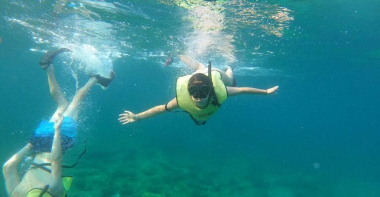 Fort Lauderdale: Guided Snorkeling Reef Tour and Lesson - The Value of This Tour