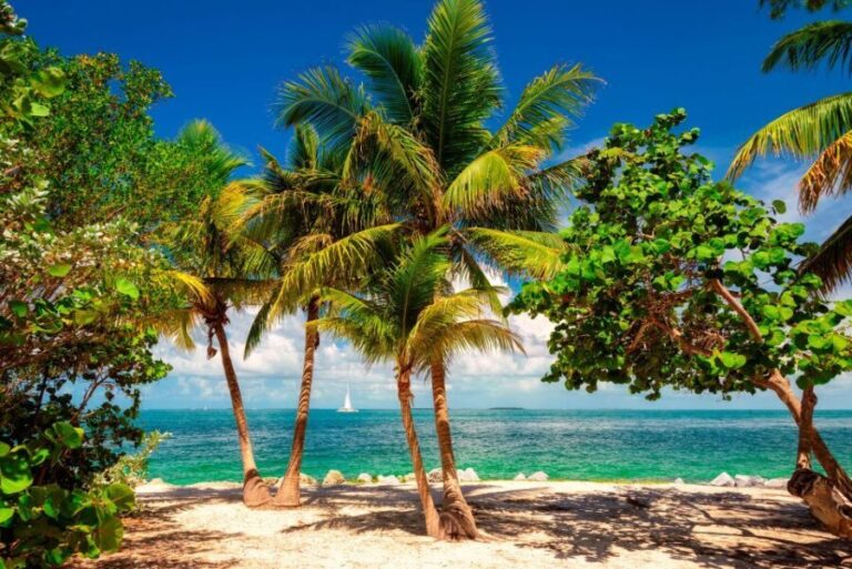Fort Lauderdale: Key West Day Trip with Optional Activities - The Experience of Value: Price and What You Get