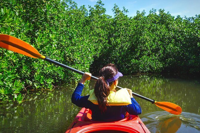 Fort Lauderdales Tropical Kayak Tour and Island Adventure - The Experience with the Guides