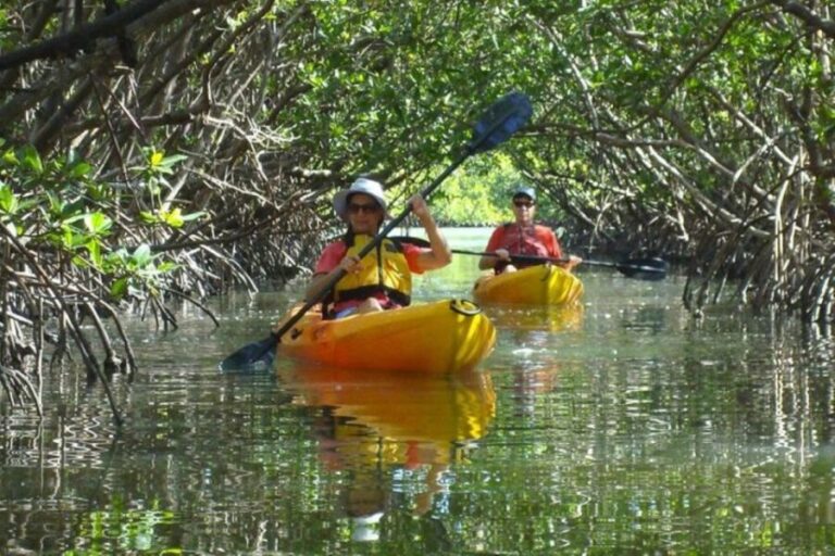 Fort Myers: Guided Kayak or SUP Tour in Pelican Bay - The Value and Who Should Consider This Tour