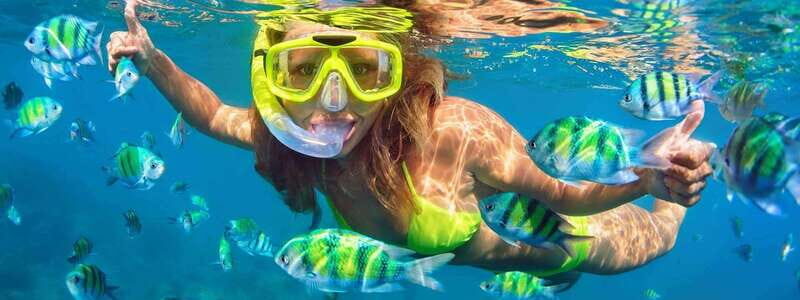 Fort Walton: Dolphin Discovery and Snorkeling Cruise