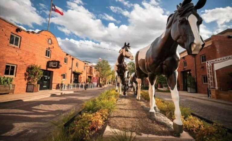 Fort Worth: Stockyards History Tour Pub Crawl - A Closer Look at the Itinerary and Experience