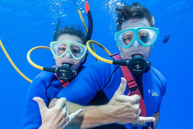 Four Winds Maui Afternoon Snorkel Tour to Coral Gardens - Frequently Asked Questions