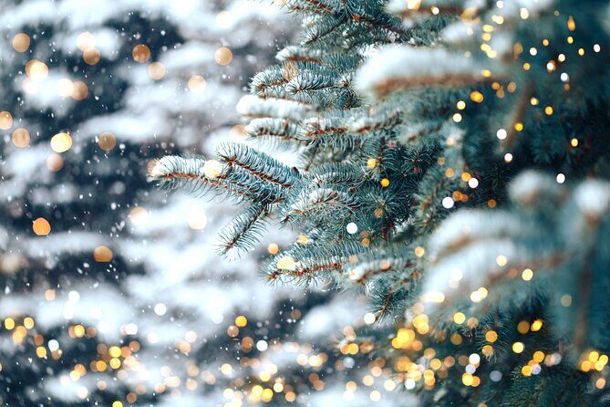 Franklins Festive Lights Spectacular A Christmas Wonderland Tour - Why You’ll Love This Tour