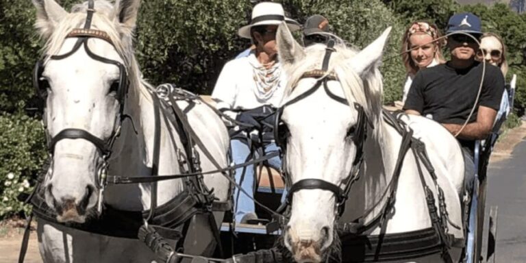 Franschhoek: 2h Private Engagement/Anniversary Carriage Ride - Experience Details: What You Can Expect from the Ride