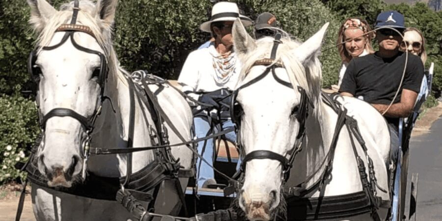 Franschhoek: 2h Private Engagement/Anniversary Carriage Ride - Experience Details: What You Can Expect from the Ride