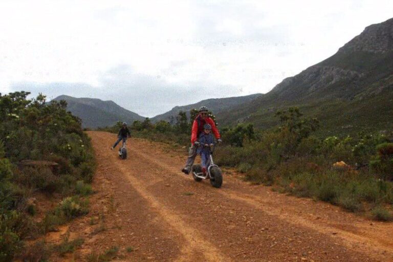 Franschhoek: Downhill Scooter Tour - Value and Practicalities