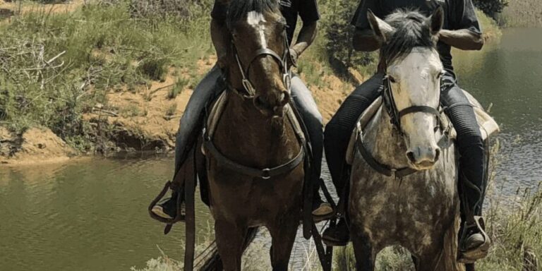 Franschhoek: Half Day Horse Trail and Wine Tasting - The Itinerary in Detail