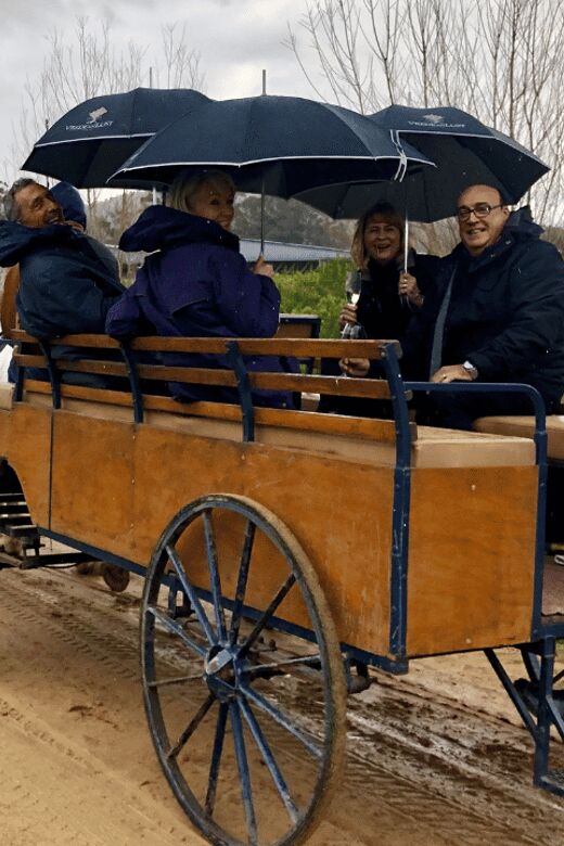 Franschhoek: Vrede en Lust Wine Estate 1H Carriage Ride - The Itinerary: What to Expect During the Tour