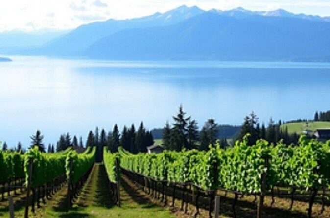 Fraser Valley Wine Escape Full Day Tour from Vancouver - Pricing and Value