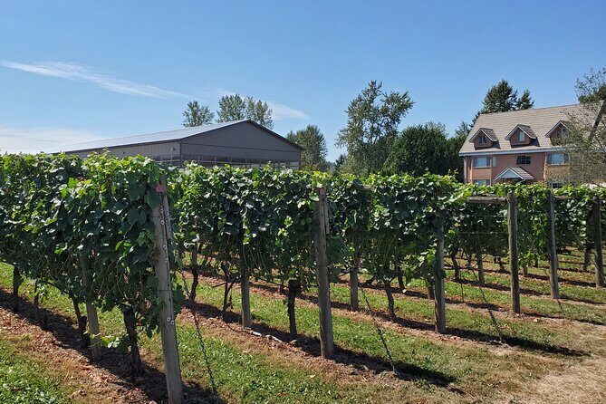 Fraser Valley Wine Tour from Vancouver with a Light Lunch - The Value Beyond the Price