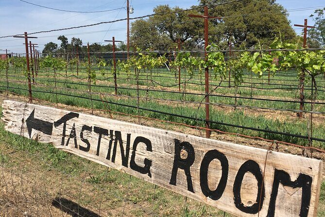 Fredericksburg Hill Country Aficionado Wine Tour from San Antonio - Final Thoughts