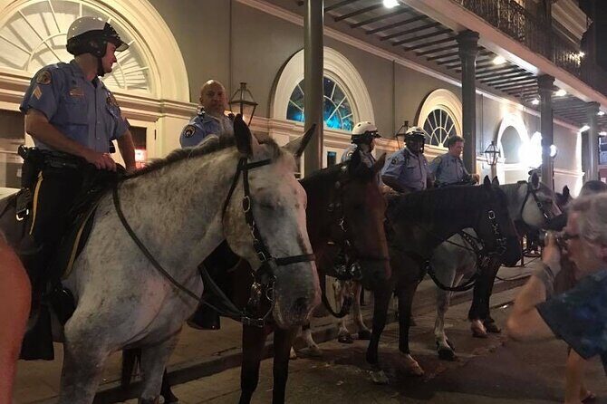French Quarter Walking Tour - Who Should Book This Tour?