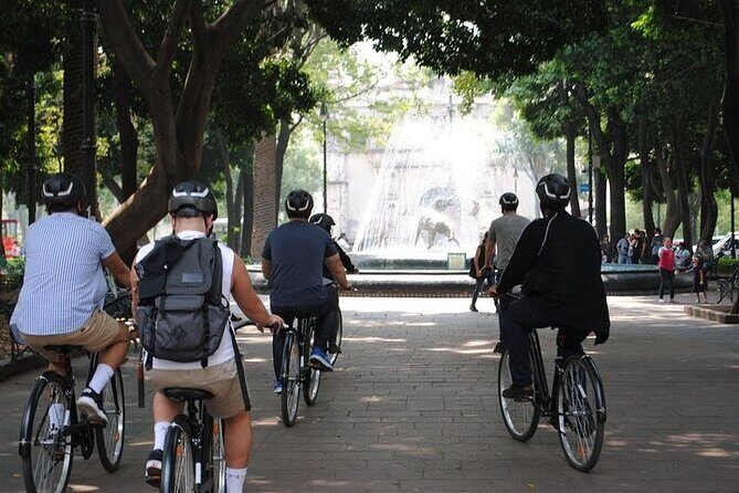 Frida Kahlo VIP - Bike & Churros [Museum Tickets Included] - The Highlight: Museo Frida Kahlo (The Blue House)